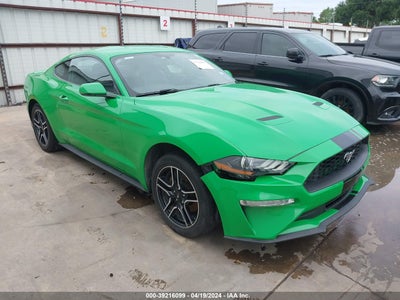 FORD MUSTANG 2019
