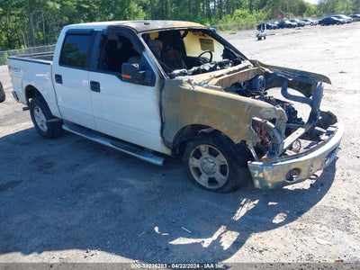 FORD F-150 2010