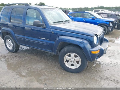 JEEP LIBERTY 2002