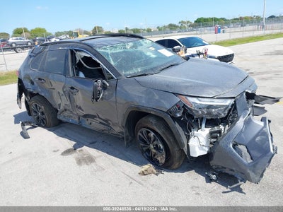 TOYOTA RAV4 2024