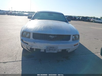 Ford Mustang 2006