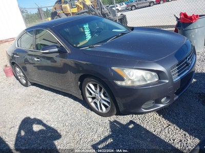 Nissan Maxima 2011