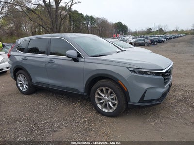 HONDA CR-V 2024