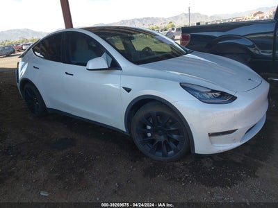 TESLA MODEL Y 2021