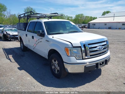 FORD F-150 2010