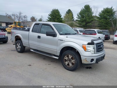 FORD F-150 2010