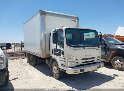 Isuzu Nrr 2022