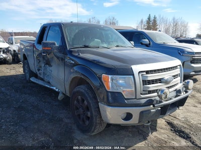 FORD F-150 2014