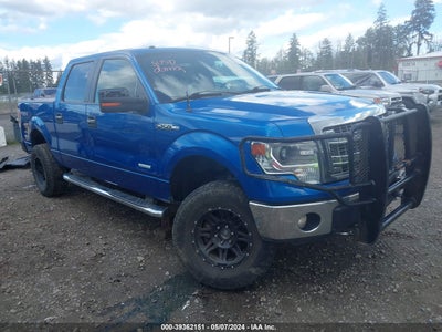 FORD F-150 2014