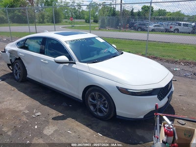 HONDA ACCORD 2024