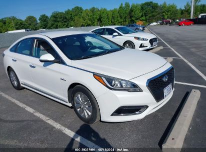 Hyundai Sonata Hybrid 2016