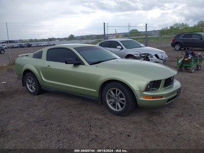 FORD MUSTANG 2005