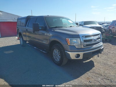FORD F-150 2014