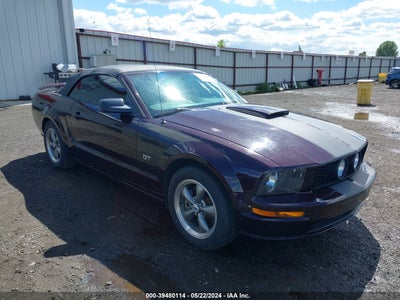 FORD MUSTANG 2005