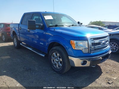 FORD F-150 2013