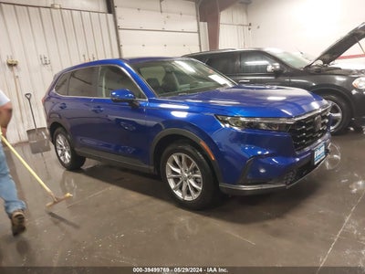 HONDA CR-V 2024