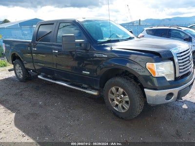 FORD F-150 2012