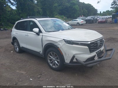 HONDA CR-V 2024