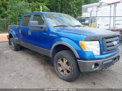 FORD F-150 2009