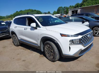 Hyundai Santa Fe Hybrid 2022