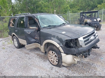 FORD EXPEDITION 2007