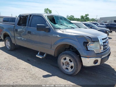 FORD F-150 2010