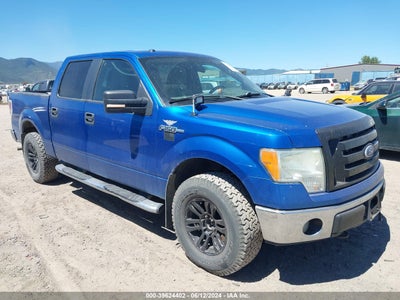 FORD F-150 2010