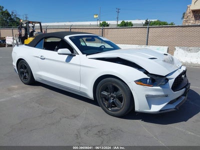 FORD MUSTANG 2019