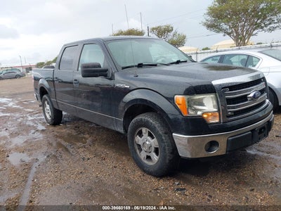 FORD F-150 2013