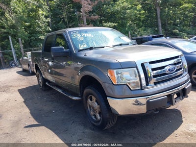 FORD F-150 2010