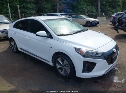 Hyundai Ioniq Electric 2019