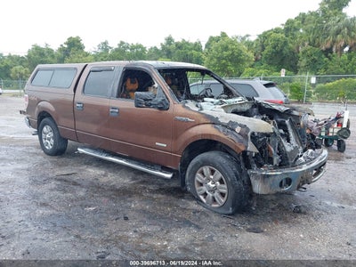 FORD F-150 2011