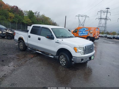 FORD F-150 2010