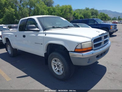 DODGE DAKOTA 2001