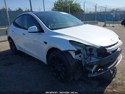 TESLA MODEL Y 2021