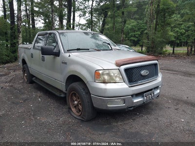 FORD F-150 2004