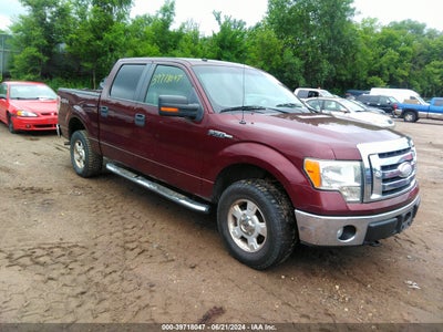 FORD F-150 2009