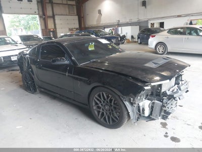 FORD SHELBY GT500 2013