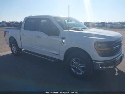 FORD F-150 2024