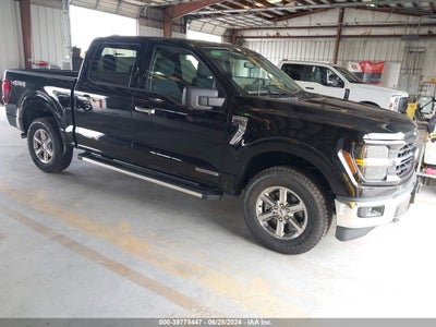FORD F-150 2024