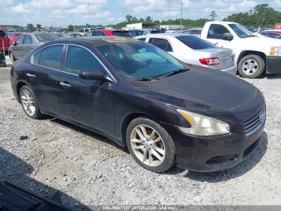 NISSAN MAXIMA 2010