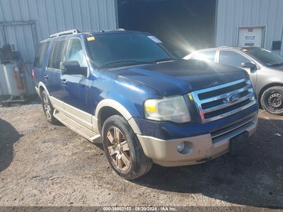 FORD EXPEDITION 2010