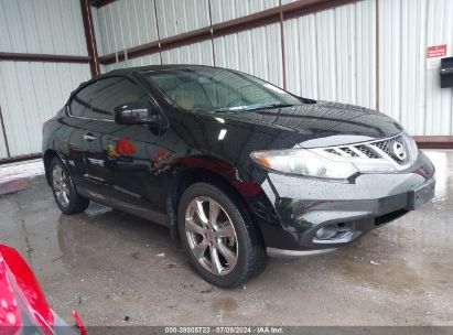 Nissan Murano Crosscabriolet 2014