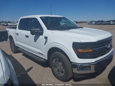FORD F-150 2024
