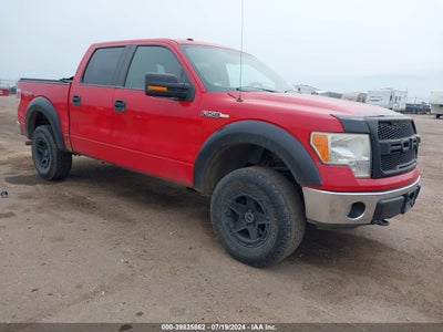 FORD F-150 2009