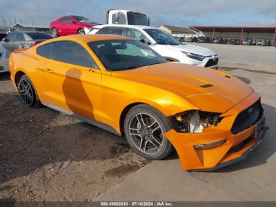 MUSTANG MUSTANG 2018