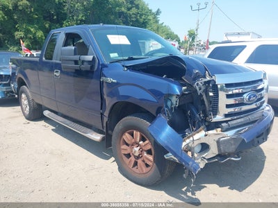FORD F-150 2009