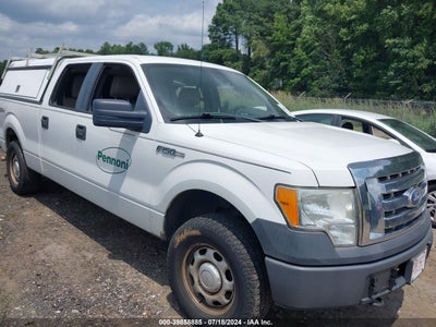 FORD F-150 2010