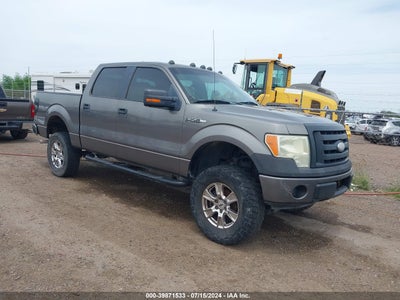 FORD F-150 2009