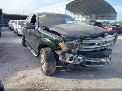 FORD F-150 2013